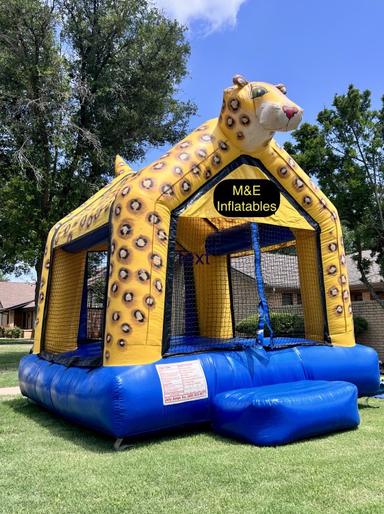 cheetah bounce house